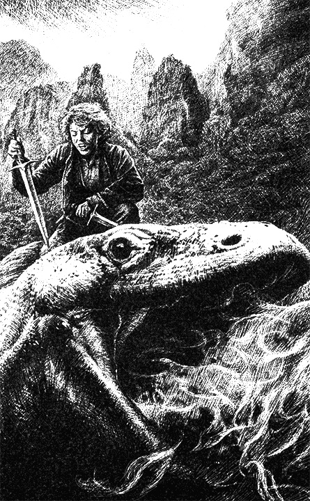 Иллюстрация к книге — Попутчик [i_002.jpg]