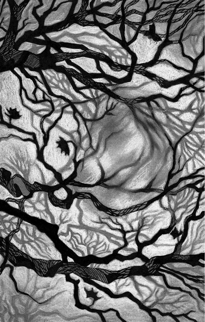 Иллюстрация к книге — Загадочный город [i_002.jpg]