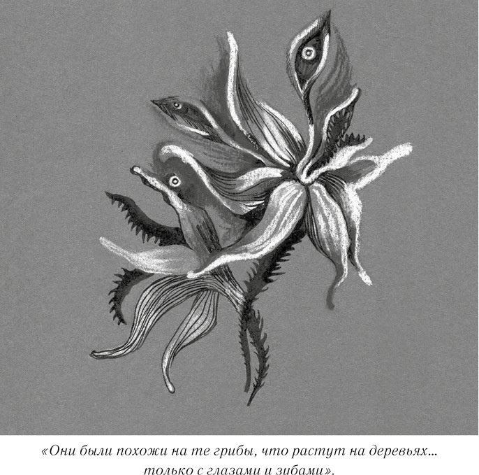 Иллюстрация к книге — Загадочный город [i_007.jpg]