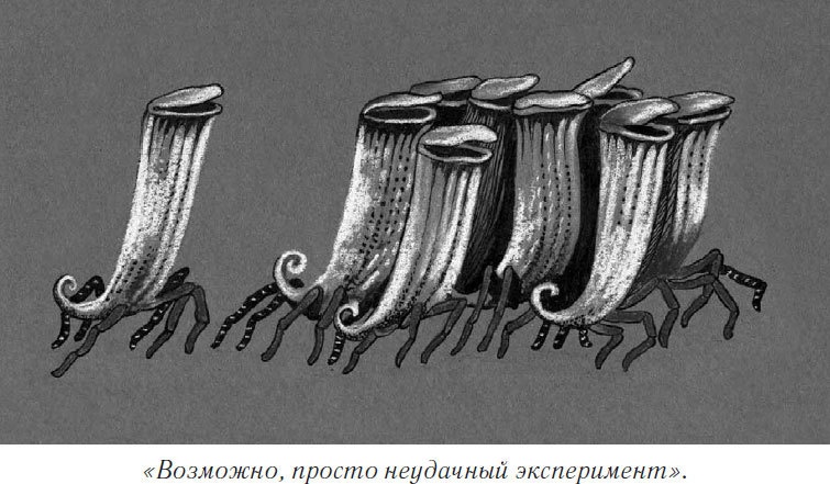 Иллюстрация к книге — Загадочный город [i_012.jpg]