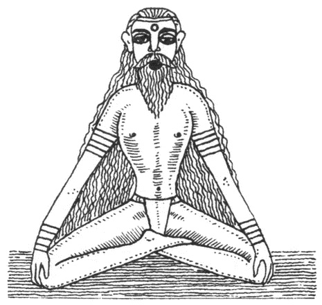 Иллюстрация к книге — Из варяг в Индию [i_016.jpg]