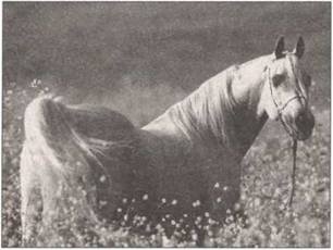 Иллюстрация к книге — По следам древних кладов. Мистика и реальность [i_037.jpg]