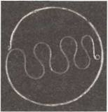 Иллюстрация к книге — По следам древних кладов. Мистика и реальность [i_095.jpg]