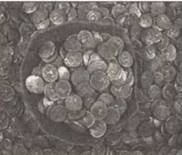 Иллюстрация к книге — По следам древних кладов. Мистика и реальность [i_103.jpg]