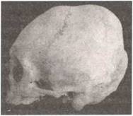 Иллюстрация к книге — По следам древних кладов. Мистика и реальность [i_118.jpg]