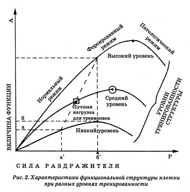 Иллюстрация к книге — Энциклопедия Амосова. Алгоритм здоровья [i_003.jpg]