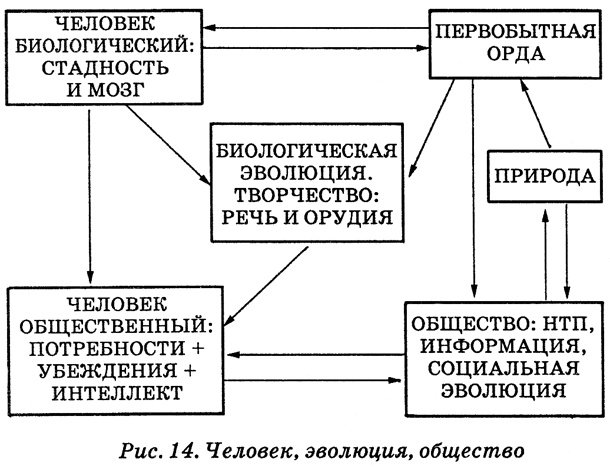 Иллюстрация к книге — Энциклопедия Амосова. Алгоритм здоровья [i_041.jpg]