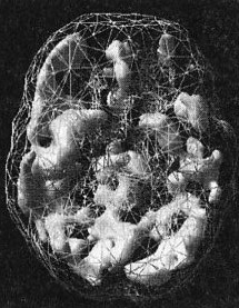 Иллюстрация к книге — Мозг. От хорошего к превосходному [img243.jpg]