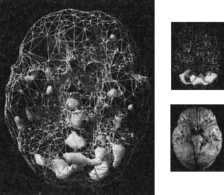 Иллюстрация к книге — Мозг. От хорошего к превосходному [img243copy.jpg]