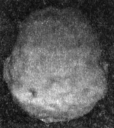 Иллюстрация к книге — Мозг. От хорошего к превосходному [img256.jpg]