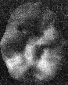 Иллюстрация к книге — Мозг. От хорошего к превосходному [img304.jpg]