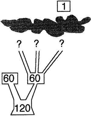 Иллюстрация к книге — Истина и красота. Всемирная история симметрии [i_025.jpg]