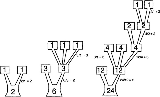 Иллюстрация к книге — Истина и красота. Всемирная история симметрии [i_026.jpg]