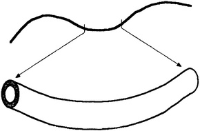 Иллюстрация к книге — Истина и красота. Всемирная история симметрии [i_050.jpg]