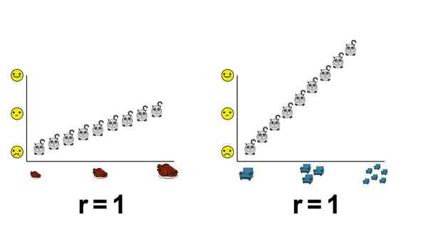Иллюстрация к книге — Статистика и котики [image101_580a0e28d99acc4a38451572_jpg.jpg]