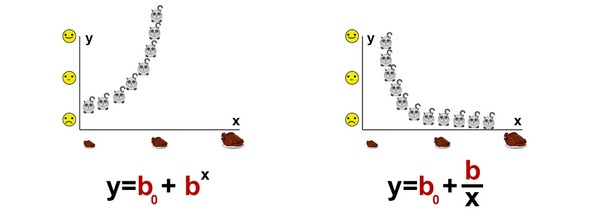 Иллюстрация к книге — Статистика и котики [image111_581767e3a85ce106002c6c75_jpg.jpg]