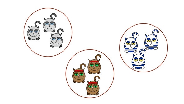 Иллюстрация к книге — Статистика и котики [image126_580a0e4b29cf8cad07e5d550_jpg.jpg]