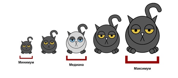 Иллюстрация к книге — Статистика и котики [image2_580a0e4a3c2f89bf3b452ba3_jpg.jpg]