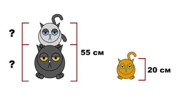 Иллюстрация к книге — Статистика и котики [image40_58f5e6fd235a210700bb62ec_jpg.jpg]