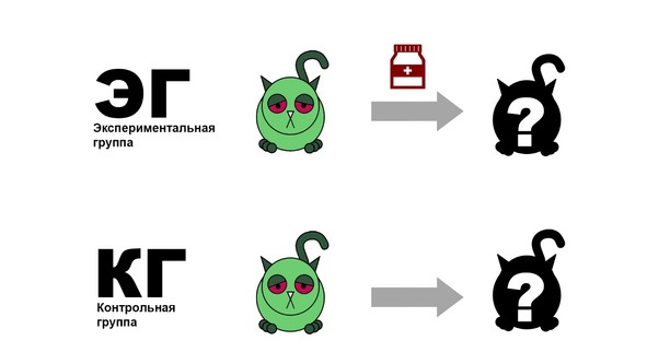 Иллюстрация к книге — Статистика и котики [image75_580a0e17de4b4f7671ec9945_jpg.jpg]