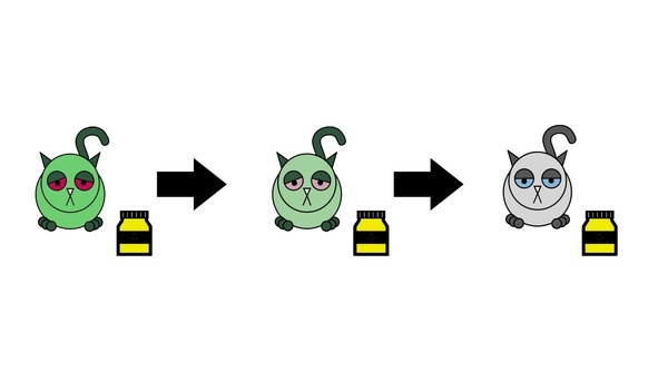 Иллюстрация к книге — Статистика и котики [image80_580a0e0734917d8a680af70d_jpg.jpg]