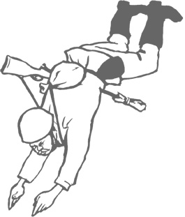 Иллюстрация к книге — Озадачник. 133 вопроса на знание логики, математики и физики [i_029.jpg]