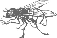 Иллюстрация к книге — Озадачник. 133 вопроса на знание логики, математики и физики [i_047.jpg]