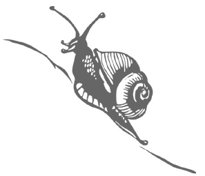 Иллюстрация к книге — Озадачник. 133 вопроса на знание логики, математики и физики [i_050.jpg]