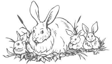 Иллюстрация к книге — Озадачник. 133 вопроса на знание логики, математики и физики [i_067.jpg]