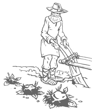 Иллюстрация к книге — Озадачник. 133 вопроса на знание логики, математики и физики [i_093.jpg]