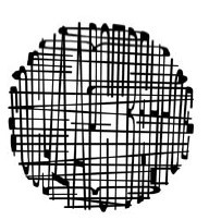 Иллюстрация к книге — Научные фокусы и загадки [i_011.jpg]