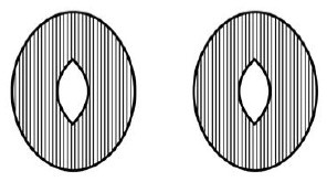 Иллюстрация к книге — Научные фокусы и загадки [i_027.jpg]