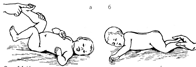 Иллюстрация к книге — Детский массаж. От рождения до 7 лет [i_014.jpg]