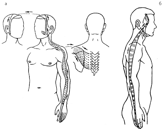 Иллюстрация к книге — Детский массаж. От рождения до 7 лет [i_024.jpg]