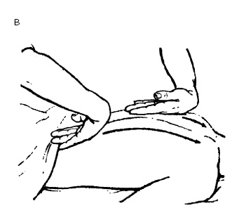 Иллюстрация к книге — Детский массаж. От рождения до 7 лет [i_037.jpg]