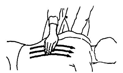 Иллюстрация к книге — Детский массаж. От рождения до 7 лет [i_046.jpg]