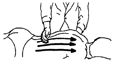 Иллюстрация к книге — Детский массаж. От рождения до 7 лет [i_049.jpg]