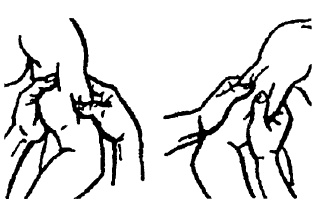 Иллюстрация к книге — Детский массаж. От рождения до 7 лет [i_061.jpg]