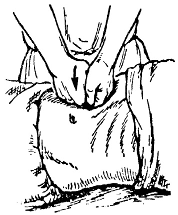 Иллюстрация к книге — Детский массаж. От рождения до 7 лет [i_070.jpg]