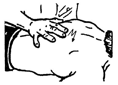 Иллюстрация к книге — Детский массаж. От рождения до 7 лет [i_072.jpg]