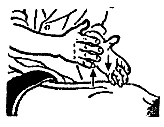 Иллюстрация к книге — Детский массаж. От рождения до 7 лет [i_075.jpg]