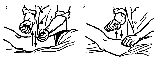 Иллюстрация к книге — Детский массаж. От рождения до 7 лет [i_078.jpg]