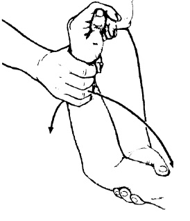 Иллюстрация к книге — Детский массаж. От рождения до 7 лет [i_081.jpg]