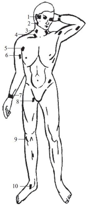 Иллюстрация к книге — Основы медицинских знаний и здорового образа жизни [_1_15.jpg]