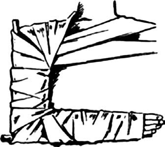 Иллюстрация к книге — Основы медицинских знаний и здорового образа жизни [_1_18.jpg]