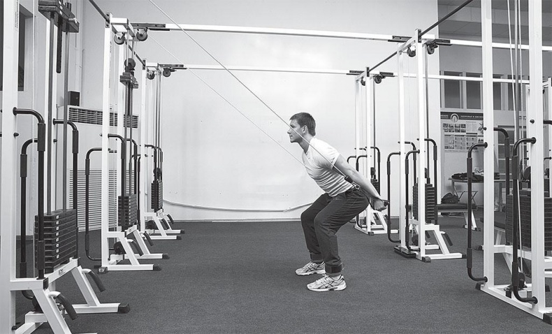 Иллюстрация к книге — Азбука здоровья. Все о позвоночнике и суставах от А до Я [_179.jpg]