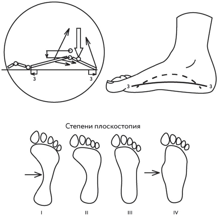 Иллюстрация к книге — Азбука здоровья. Все о позвоночнике и суставах от А до Я [_193.jpg]