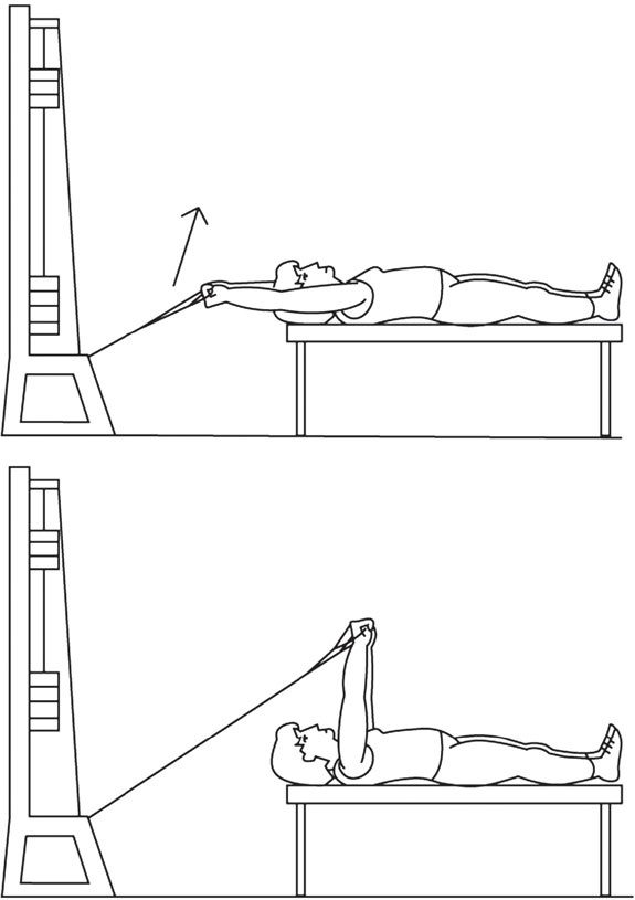 Иллюстрация к книге — Азбука здоровья. Все о позвоночнике и суставах от А до Я [_213.jpg]