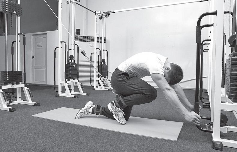 Иллюстрация к книге — Азбука здоровья. Все о позвоночнике и суставах от А до Я [_27.jpg]