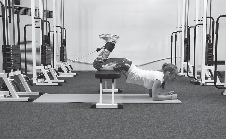 Иллюстрация к книге — Азбука здоровья. Все о позвоночнике и суставах от А до Я [_3.jpg]